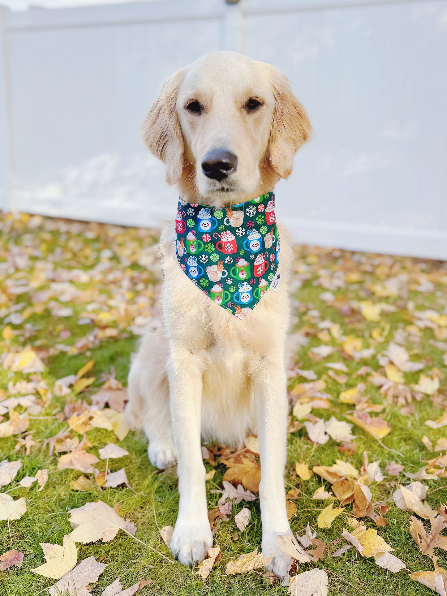 Hot Chocolate Mugs And Green Checks Bandana