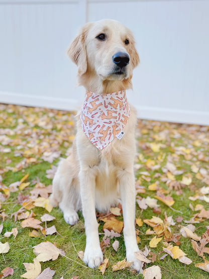 Christmas Reindeer Bandana