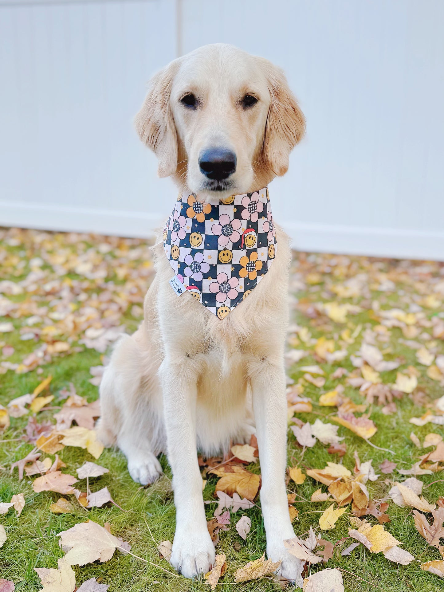 Groovy Christmas Bandana