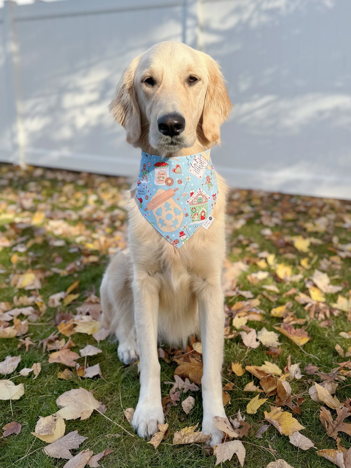 Christmas Baking and Cookies Bandana