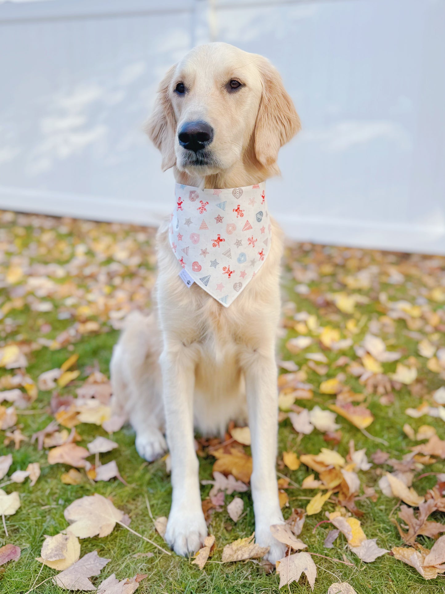 Christmas Baking and Cookies Bandana