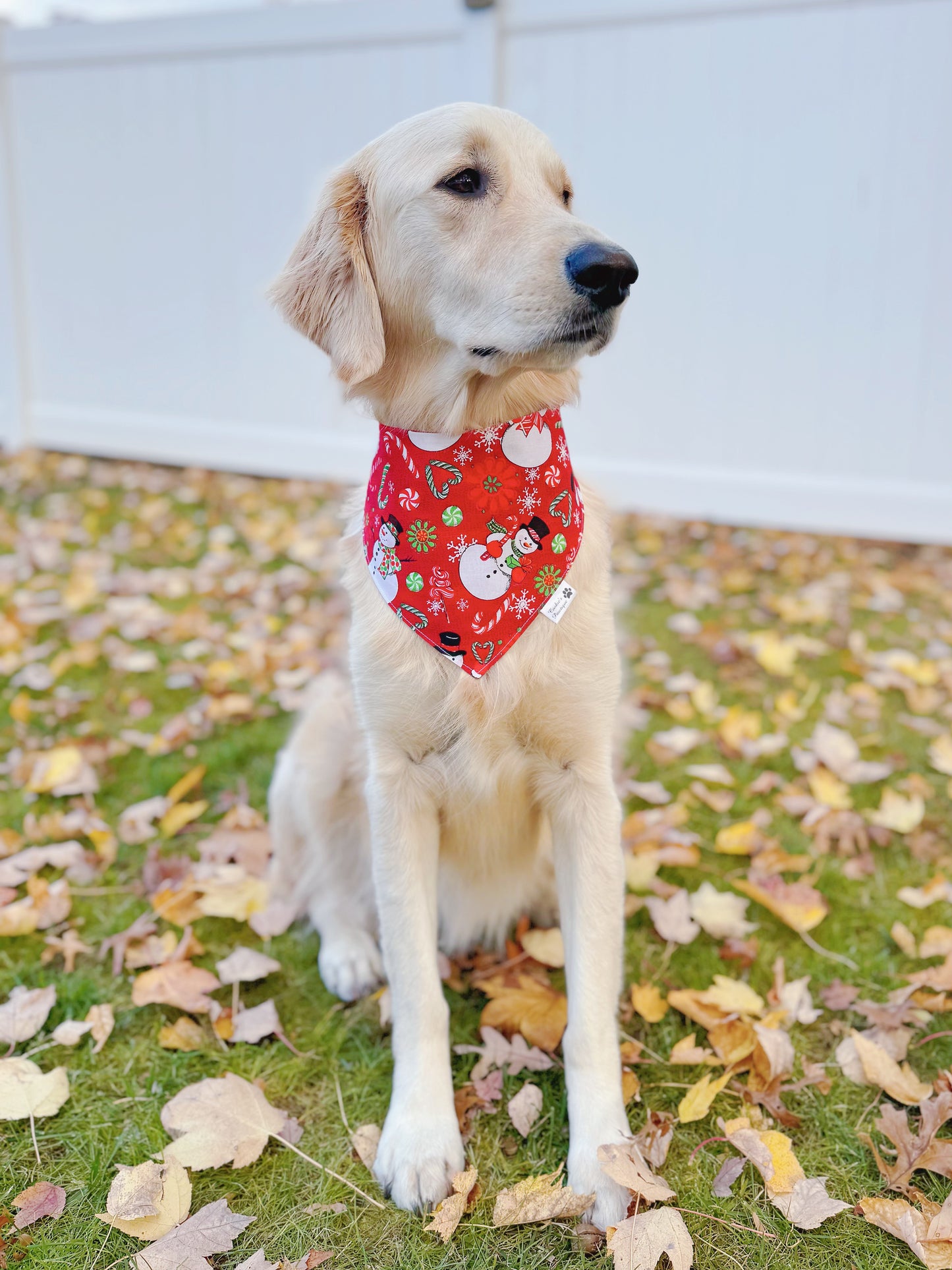 Christmas Snowmen and Snowflakes Bandana