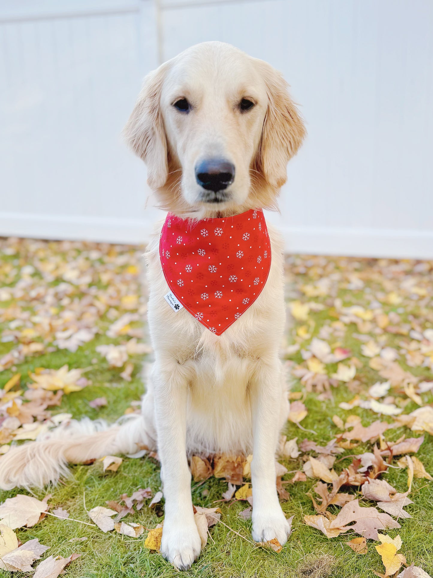 Christmas Snowmen and Snowflakes Bandana