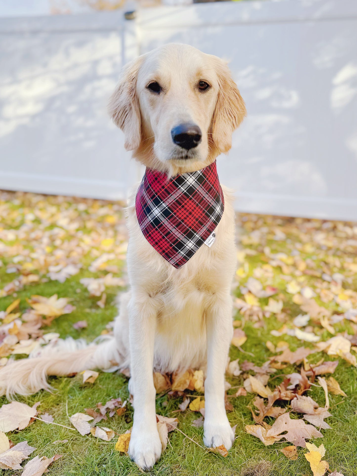 Christmas Plaid and Buffalo Check Paws Bandana