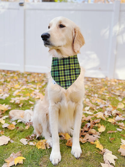 Reindeers and Christmas Trees Bandana