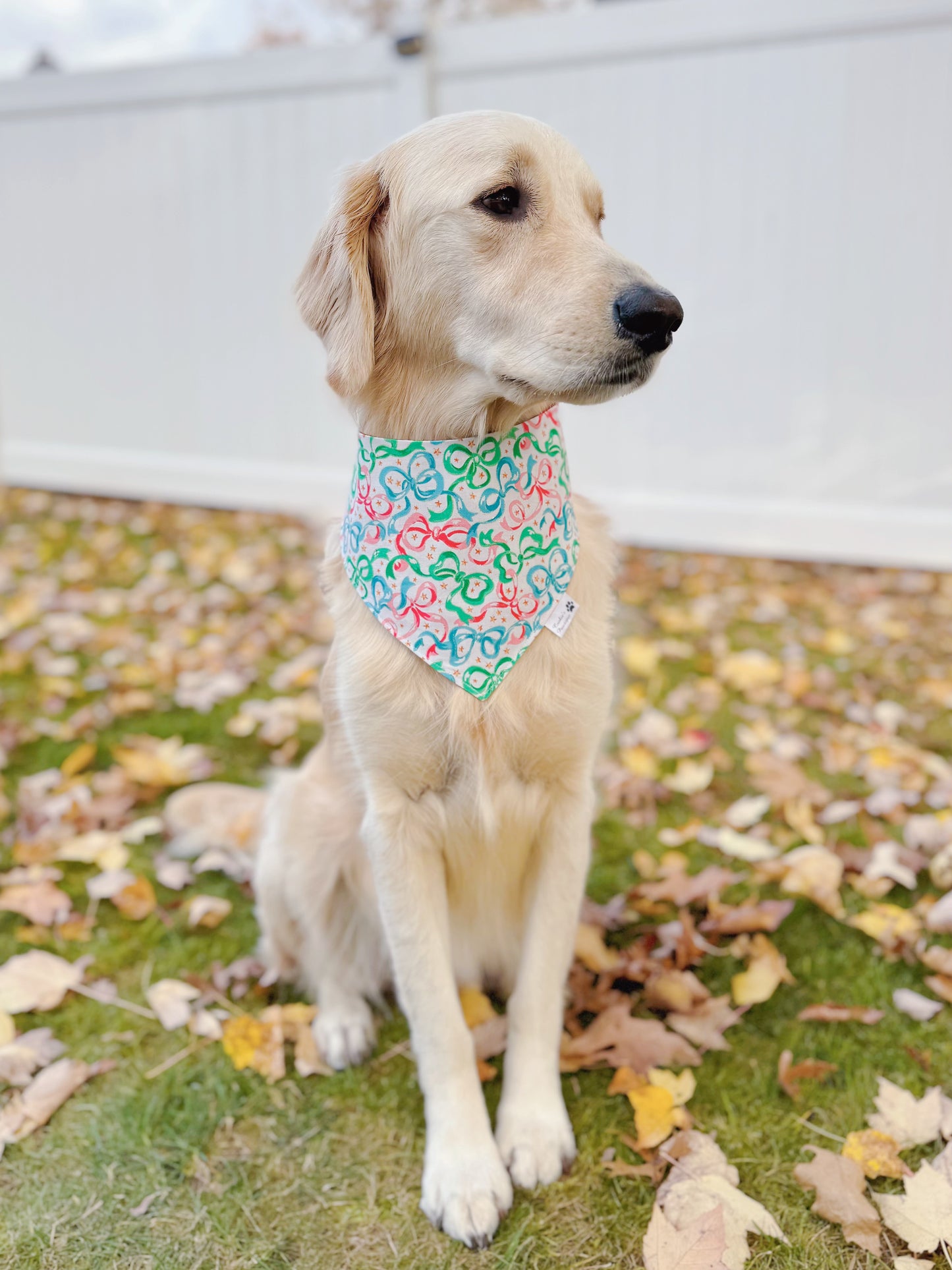 Christmas Bows and Ornaments Bandana