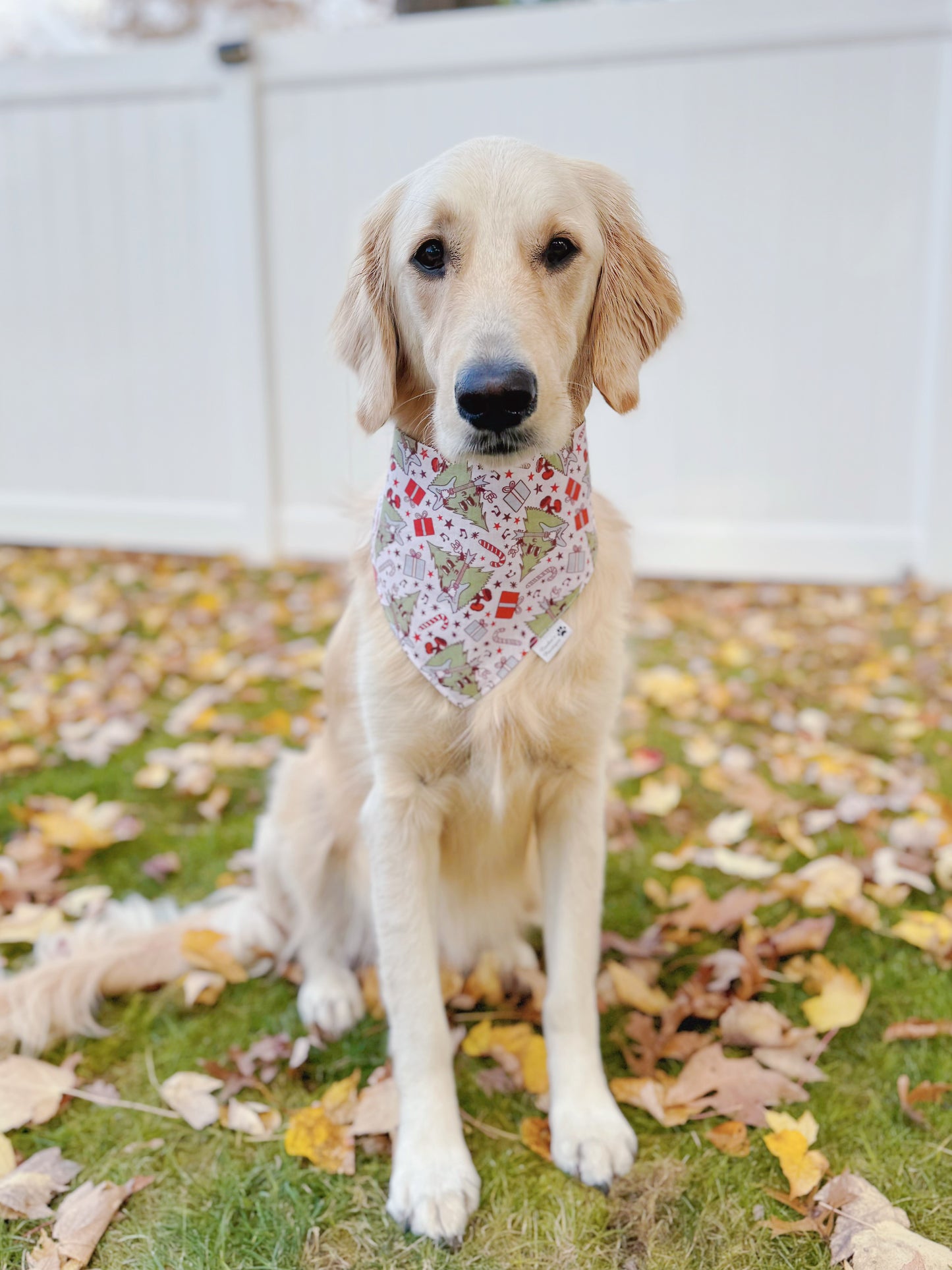 Groovy Christmas Trees Bandana