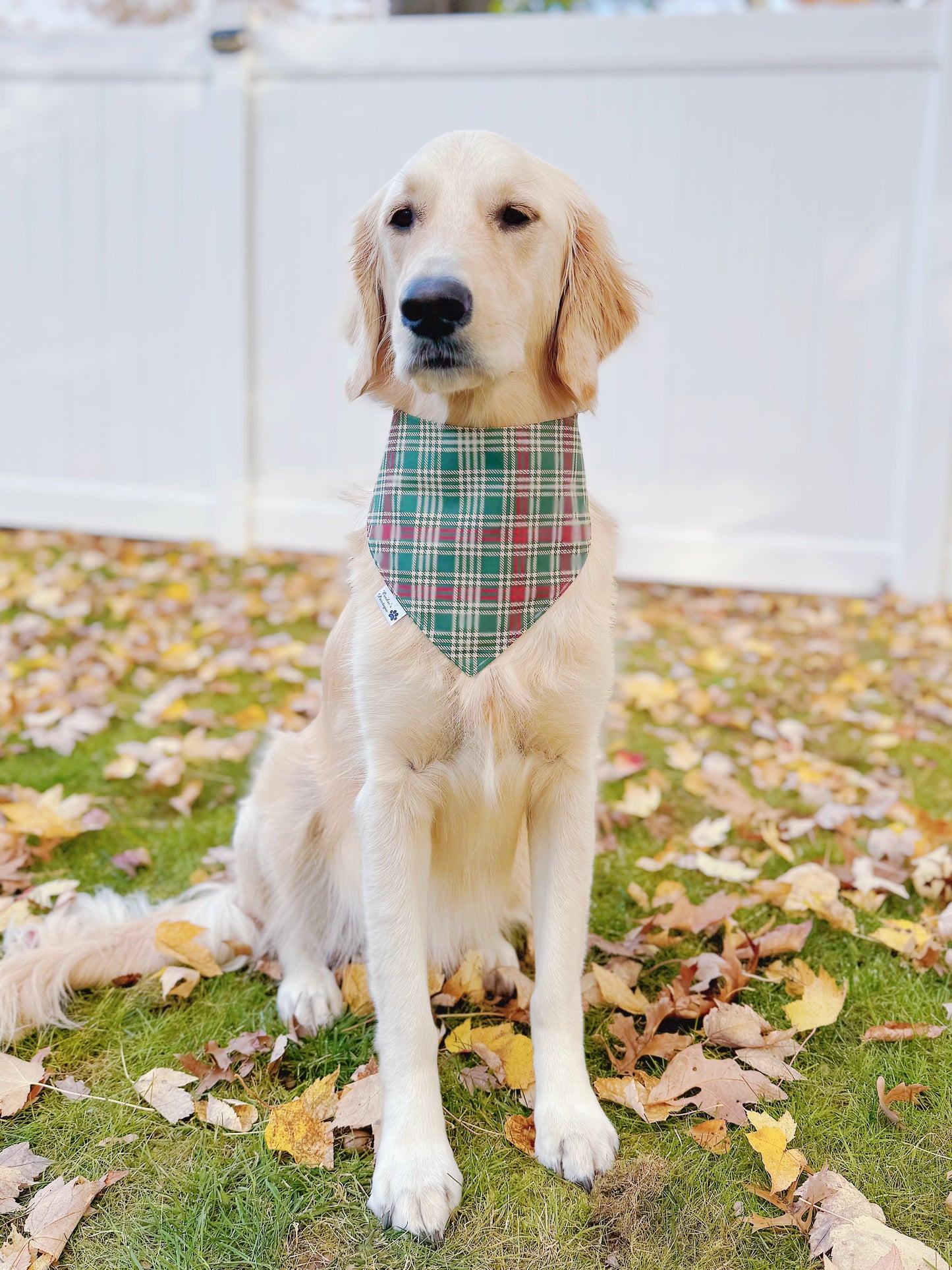 Groovy Christmas Trees Bandana