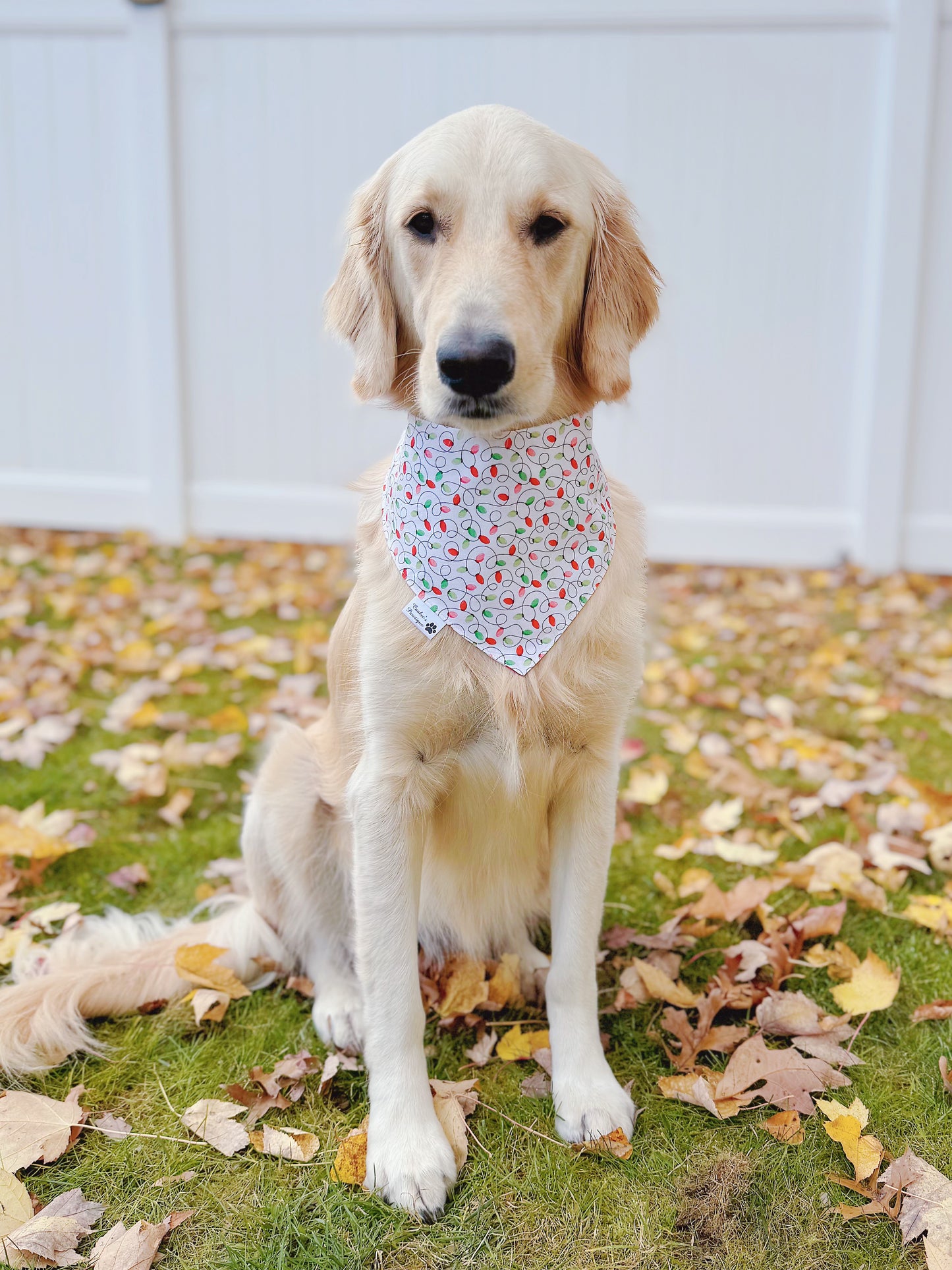 Christmas Pups and Lights Bandana