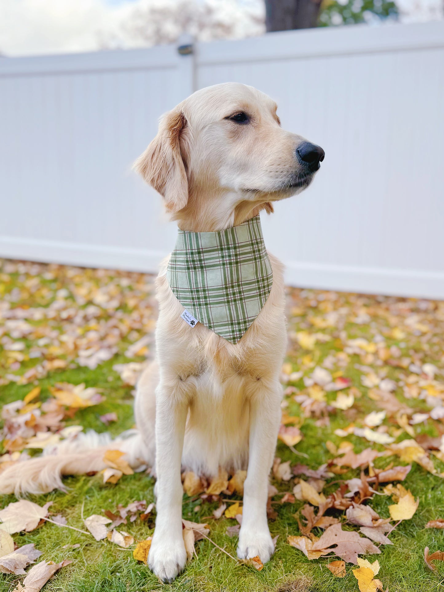 Cozy Christmas Bandana