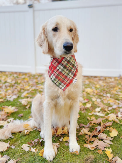 Glitter Plaid and Doves Bandana