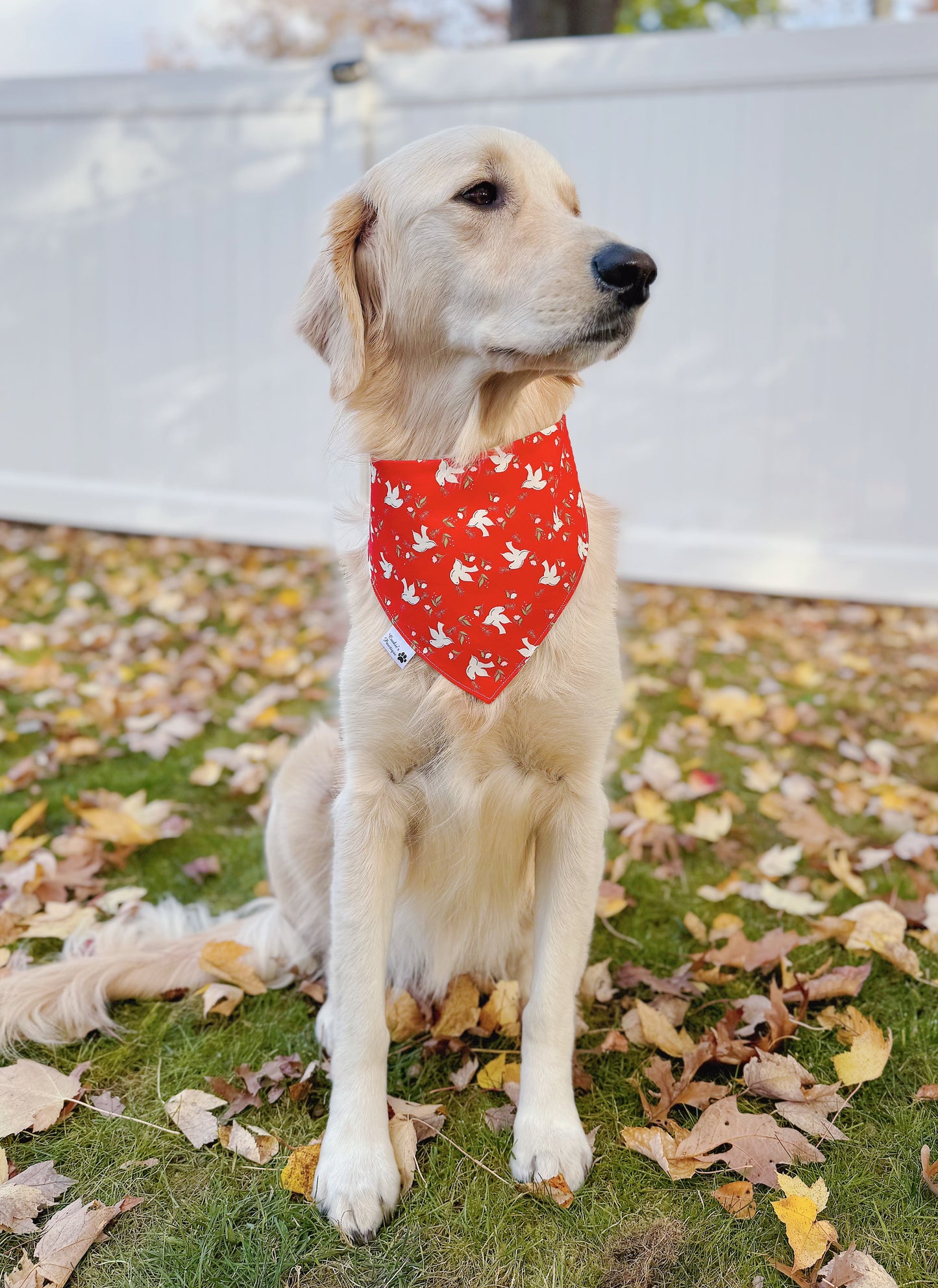 Glitter Plaid and Doves Bandana