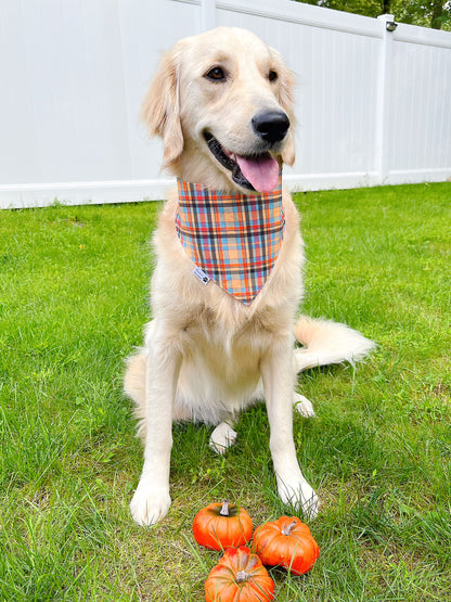 Colorful Leaves In Fall Bandana