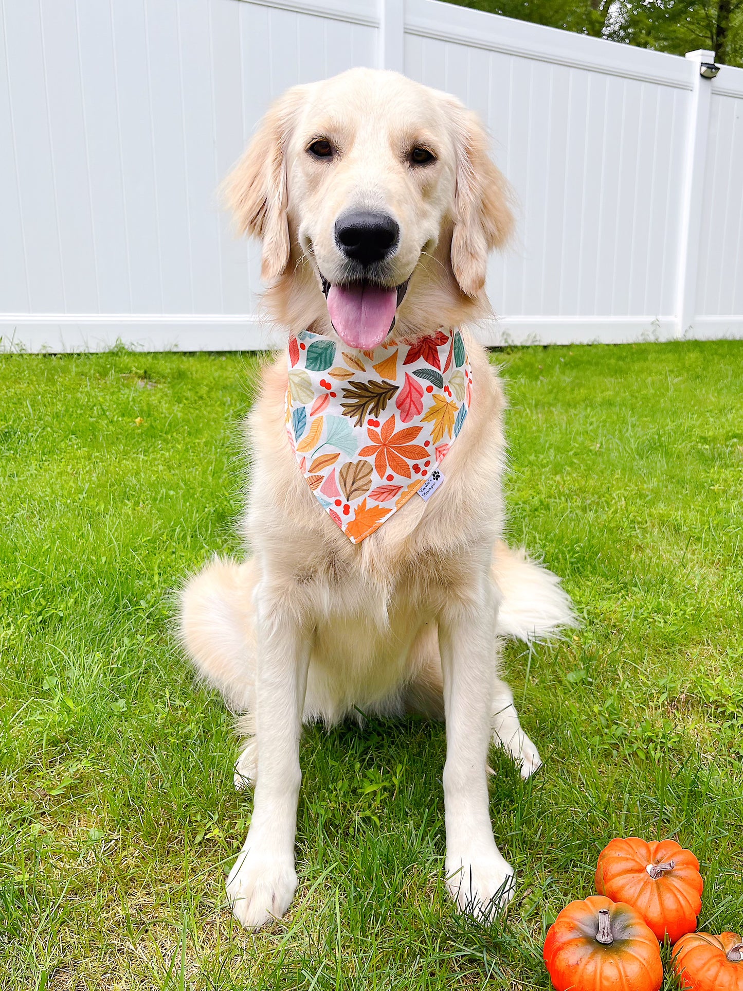 Colorful Leaves In Fall Bandana