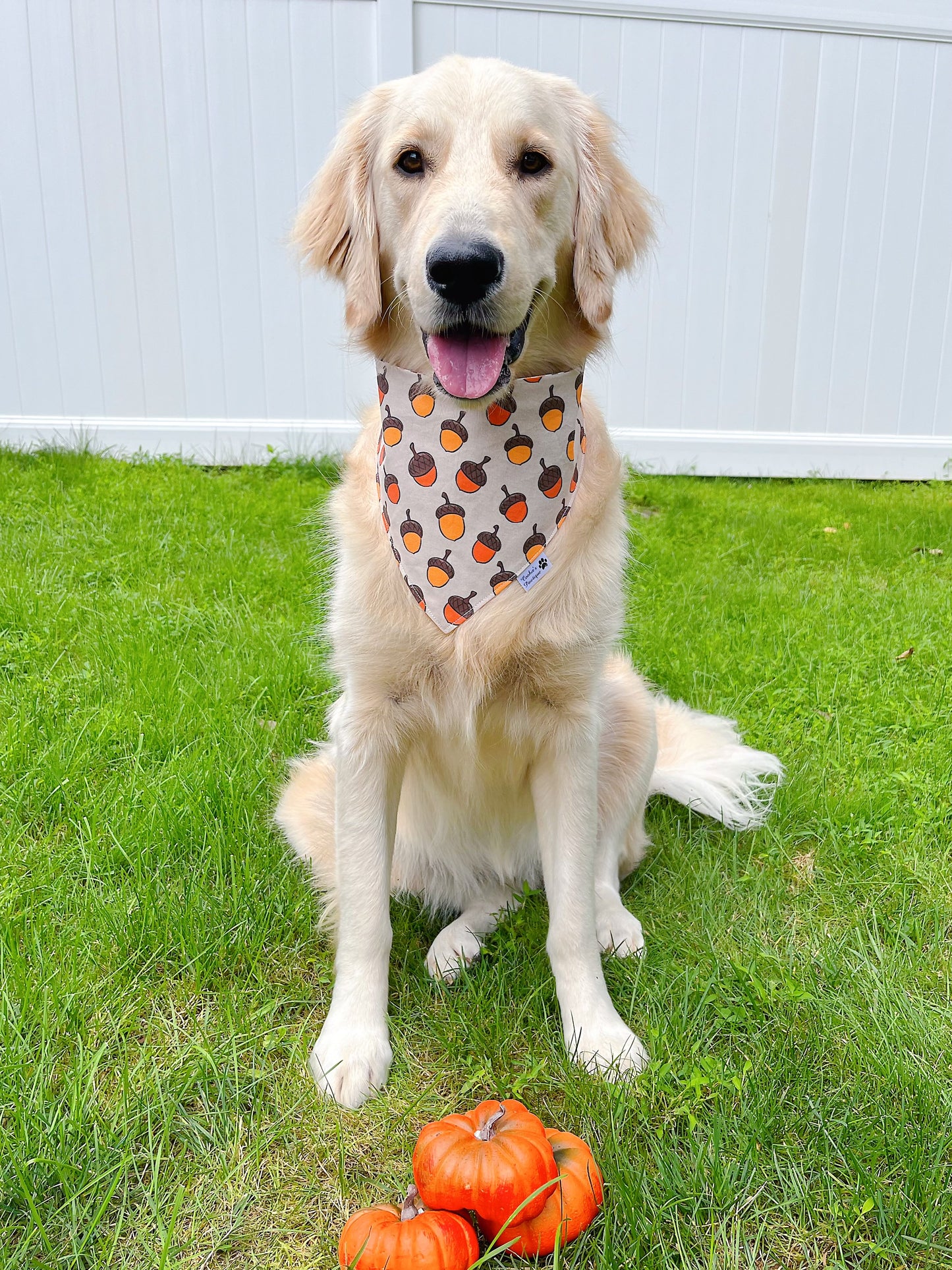 Fall Acorns Bandana