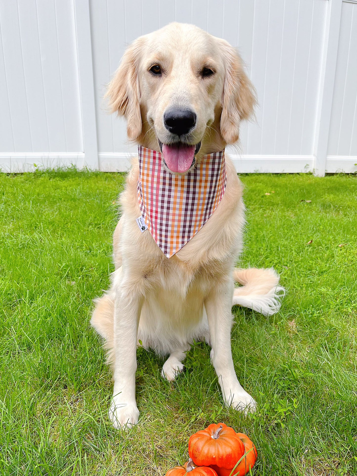 Fall Acorns Bandana