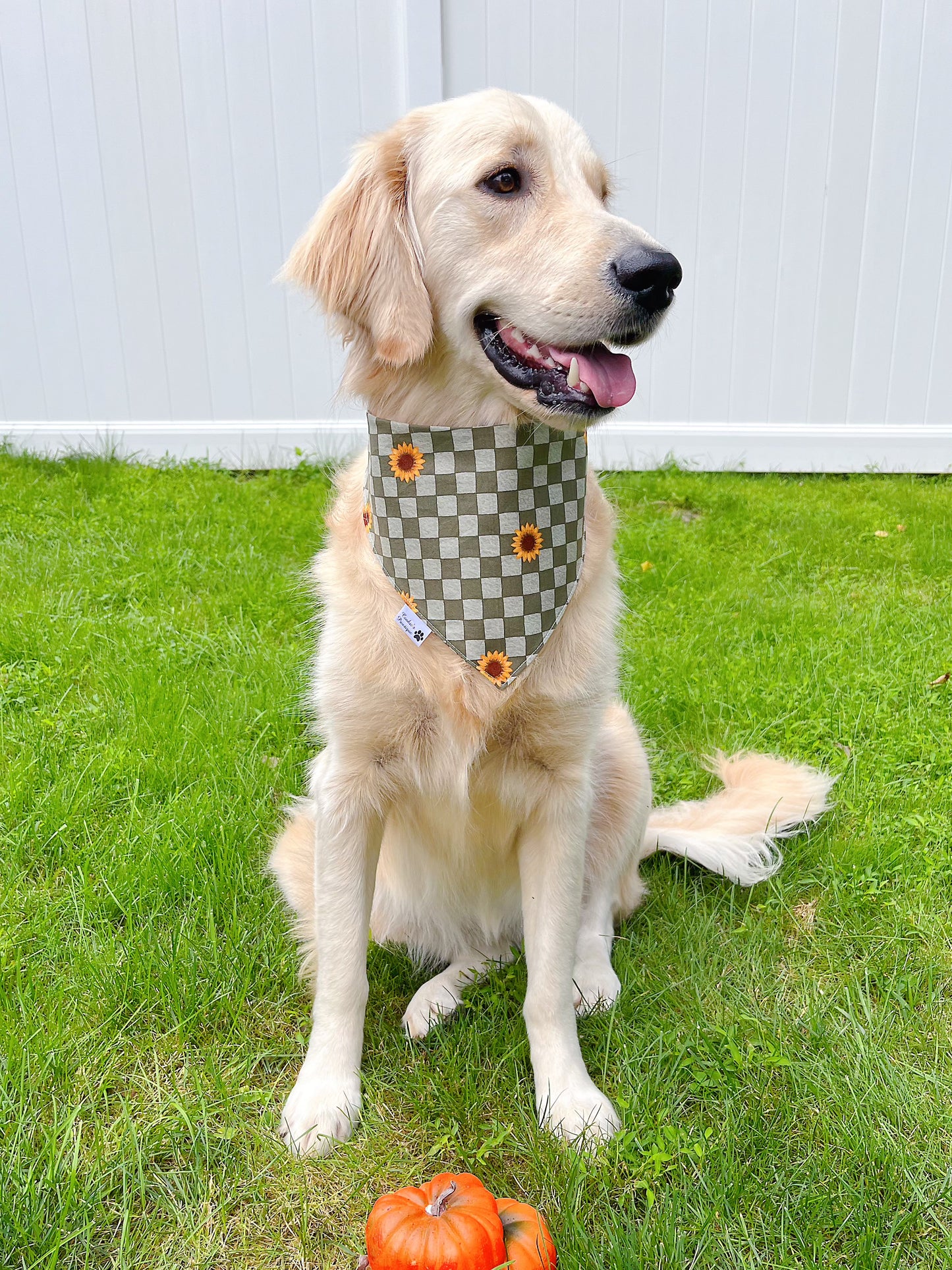 Pumpkin Spice Doggy Coffee Treats Bandana