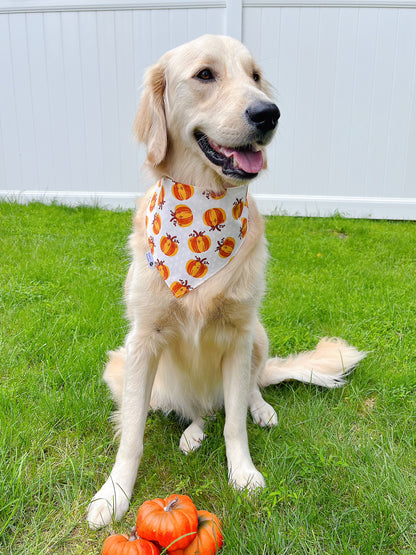 Pumpkin Spice Love Bandana