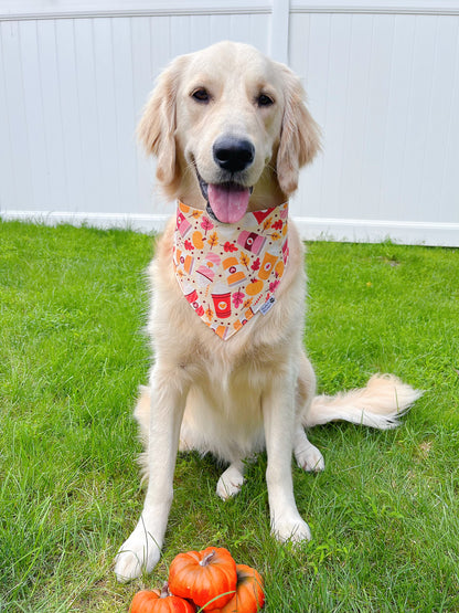 Pumpkin Spice Love Bandana