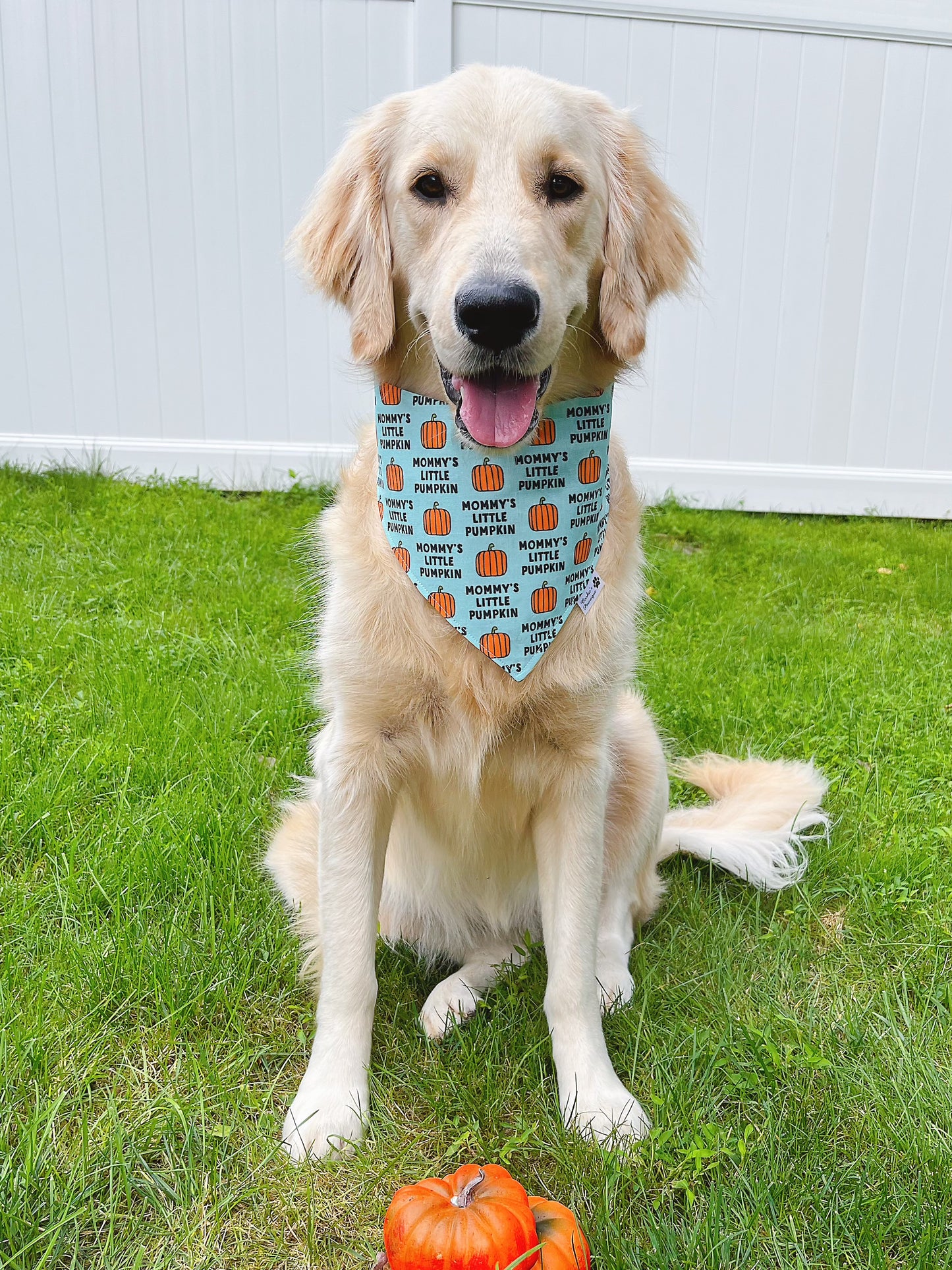 Mommy’s Little Pumpkin Bandana