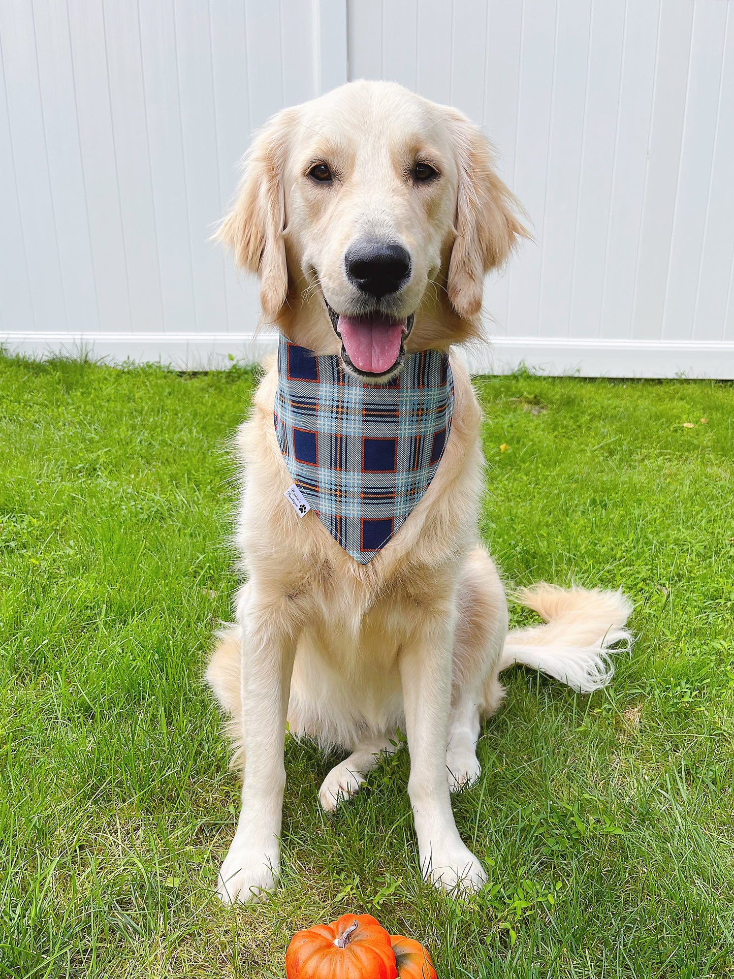 Mommy’s Little Pumpkin Bandana