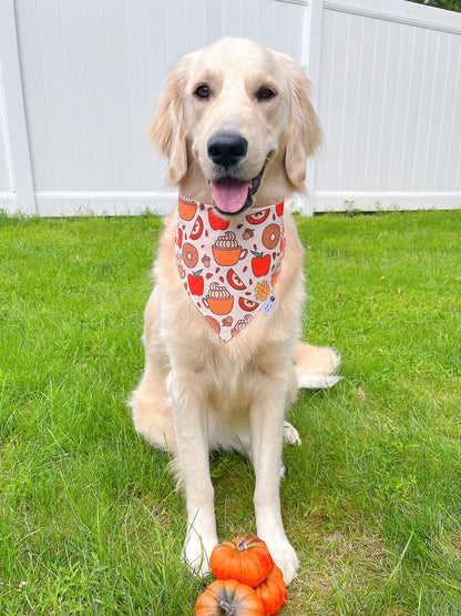 Apple Cider And Donut Bandana