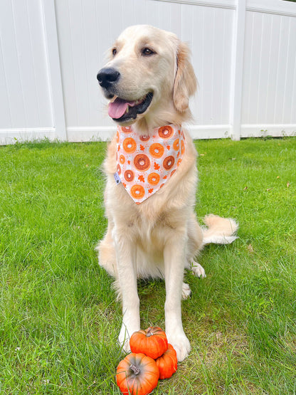 Apple Cider And Donut Bandana