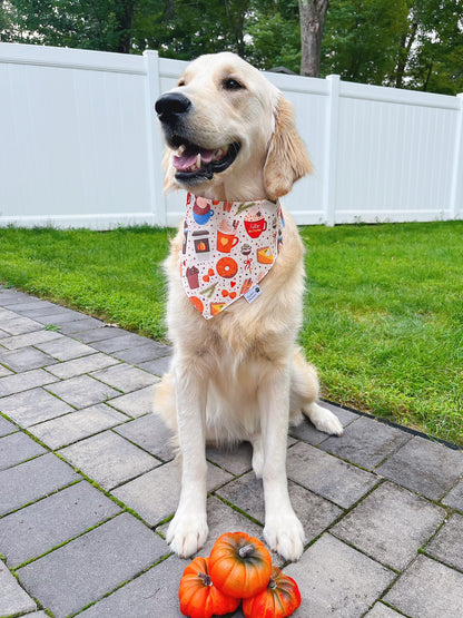 Fall Vibes Bandana