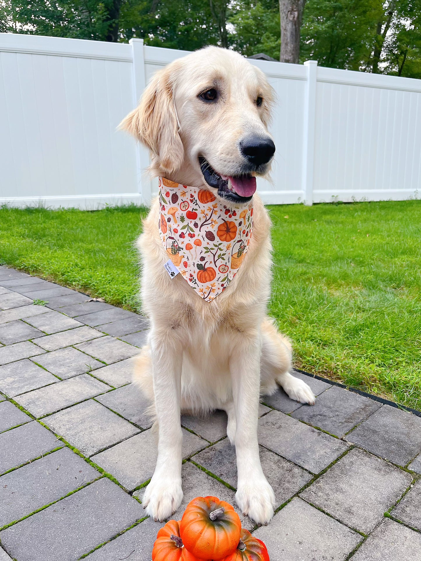 Fall Vibes Bandana