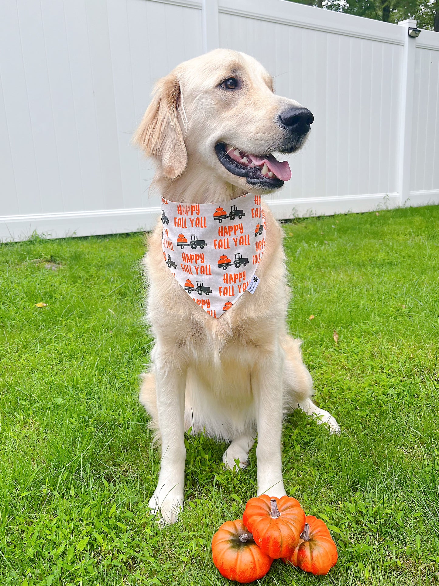 Happy Fall Y'all Bandana