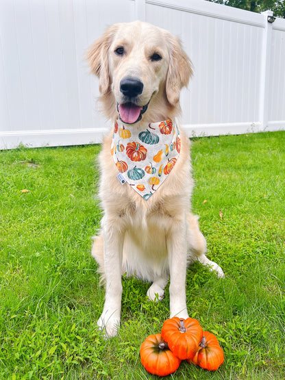 Happy Fall Y'all Bandana