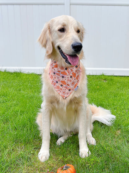 Fall Vintage Pumpkin Truck And Floral Bandana