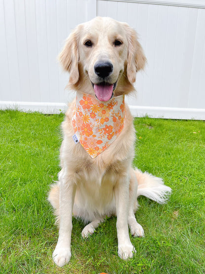 Fall Vintage Pumpkin Truck And Floral Bandana