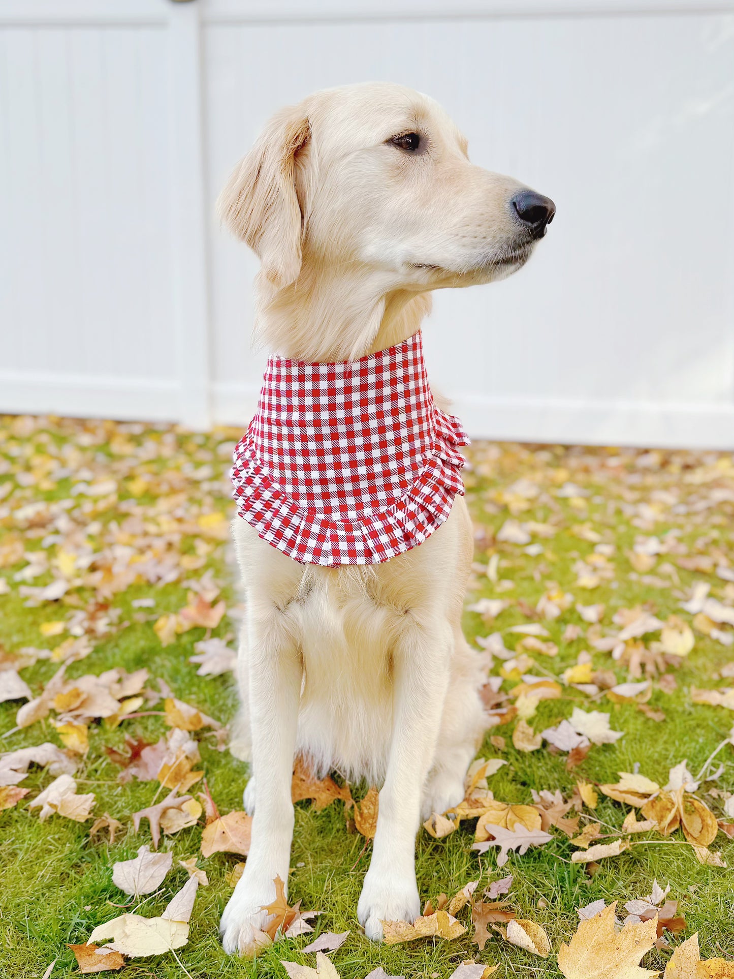 Holiday Icons Patchwork Bandana