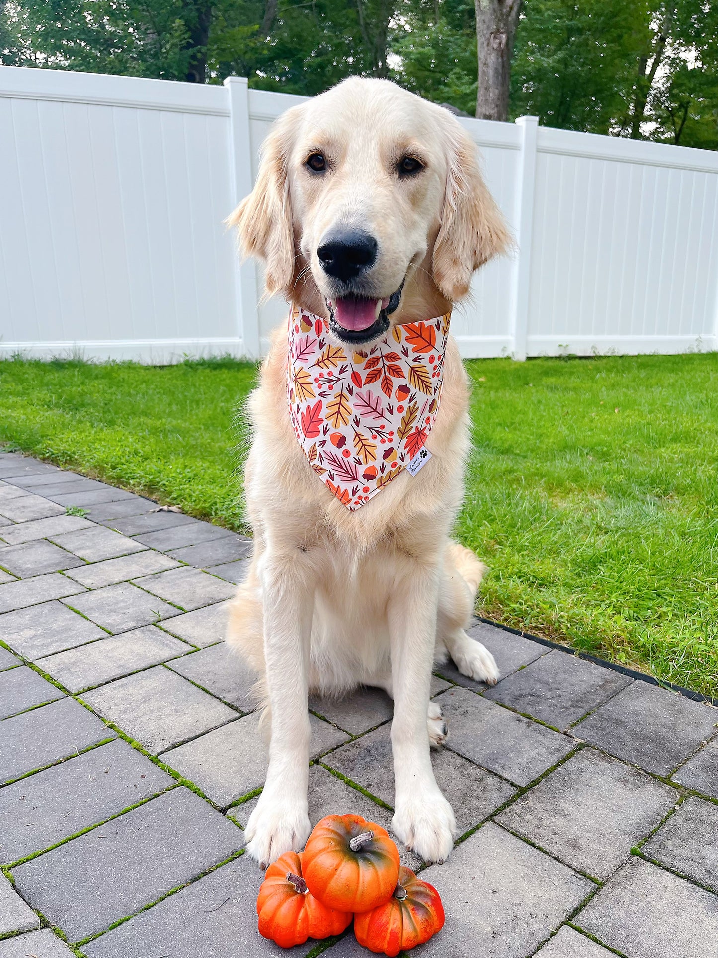 Fall Leaves And Watercolor Roses Bandana