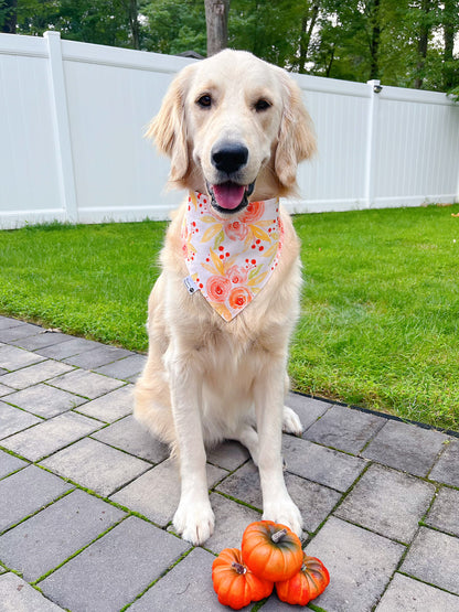 Fall Leaves And Watercolor Roses Bandana