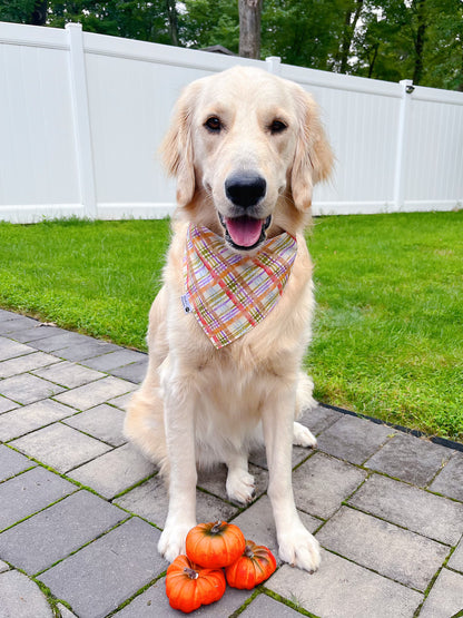 Pumpkin Patch And Corn Maze Bandana