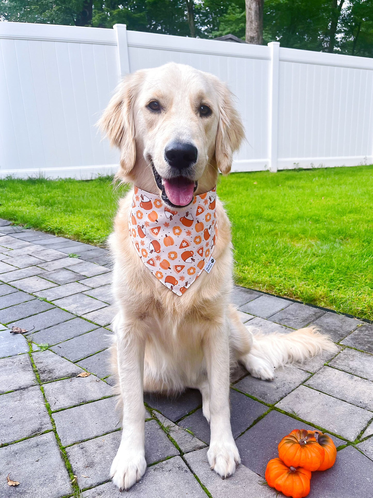 Boho Pumpkin Spice Bandana