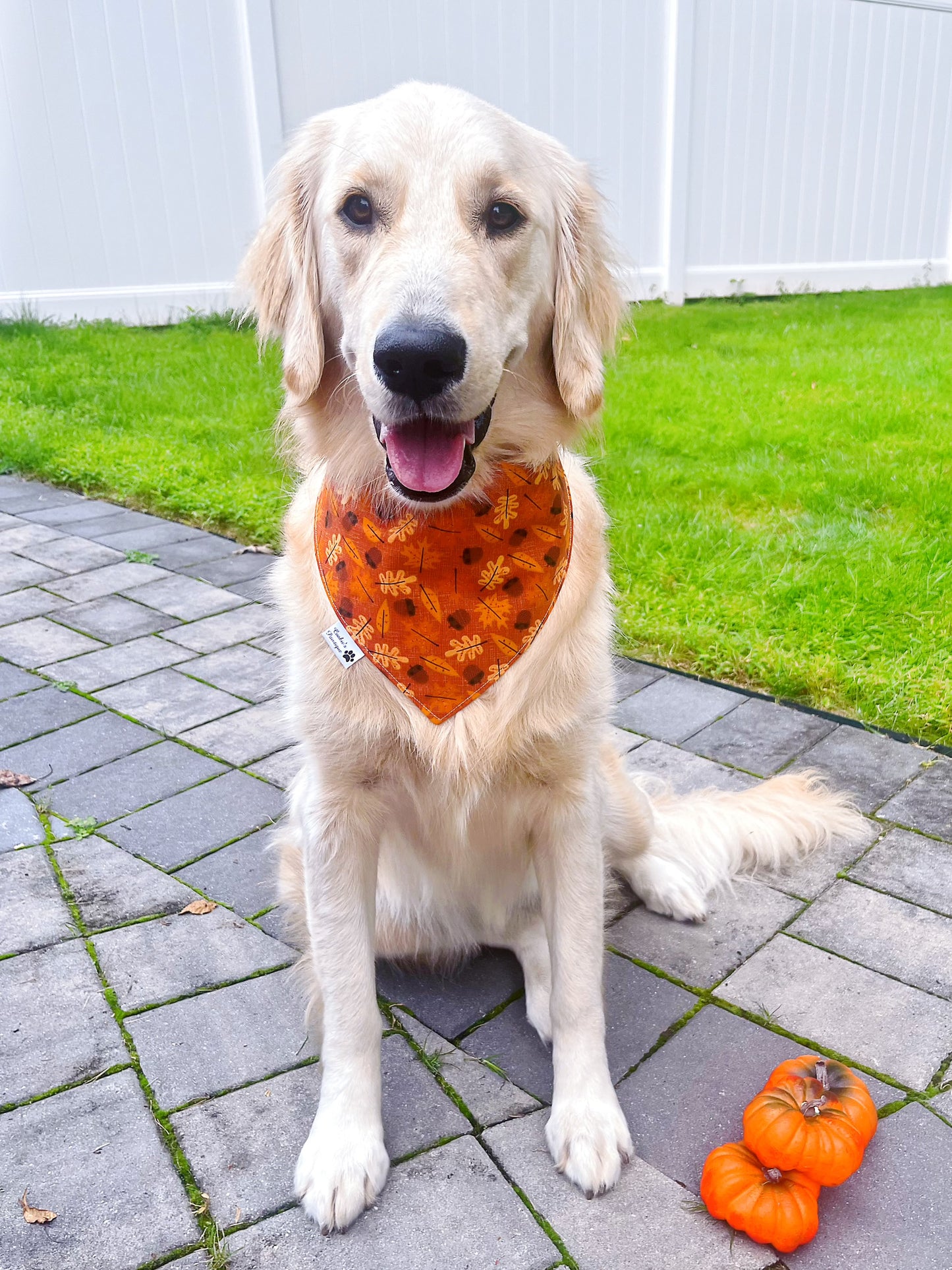 Boho Pumpkin Spice Bandana