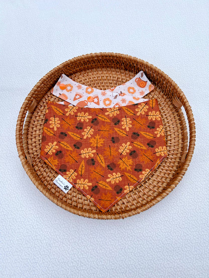 Boho Pumpkin Spice Bandana