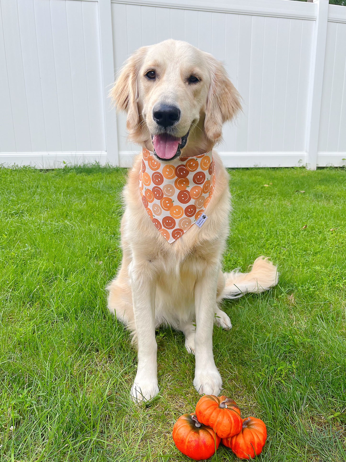 Happy Pumpkins And Retro Daisies Bandana