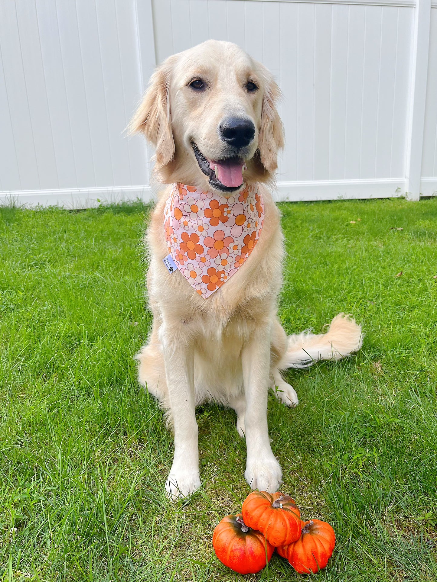 Happy Pumpkins And Retro Daisies Bandana