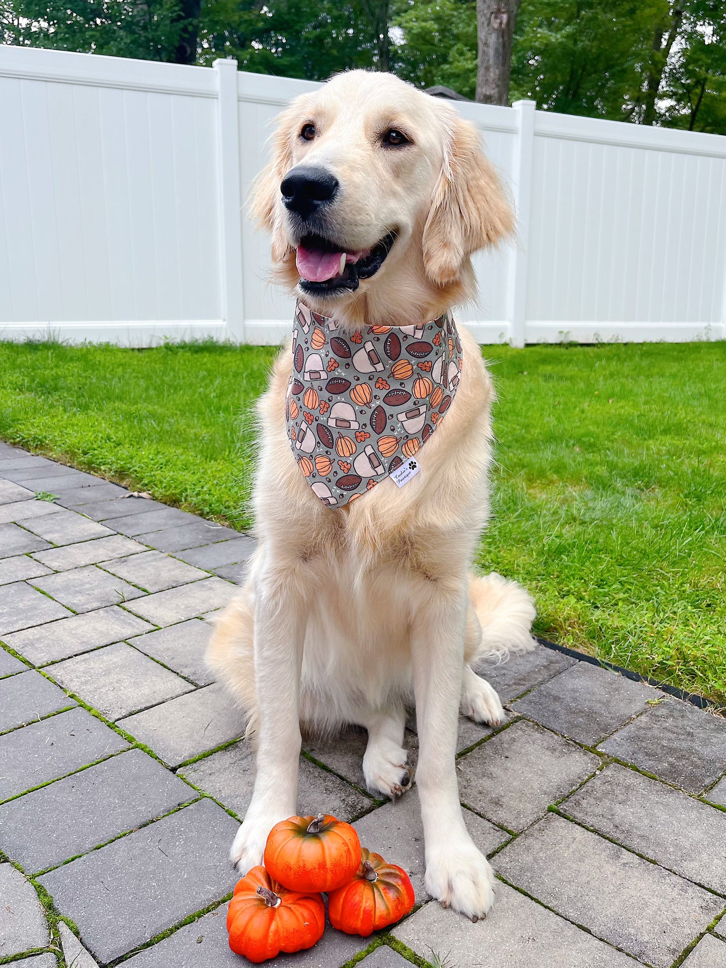 Fall Football Bandana