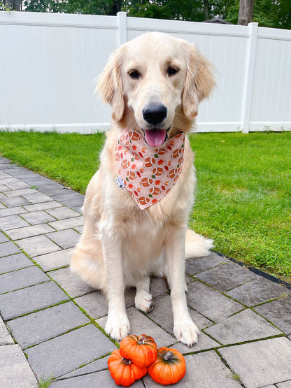 Fall Football Bandana