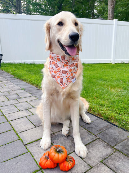 Pumpkin Spice Coffee Bandana