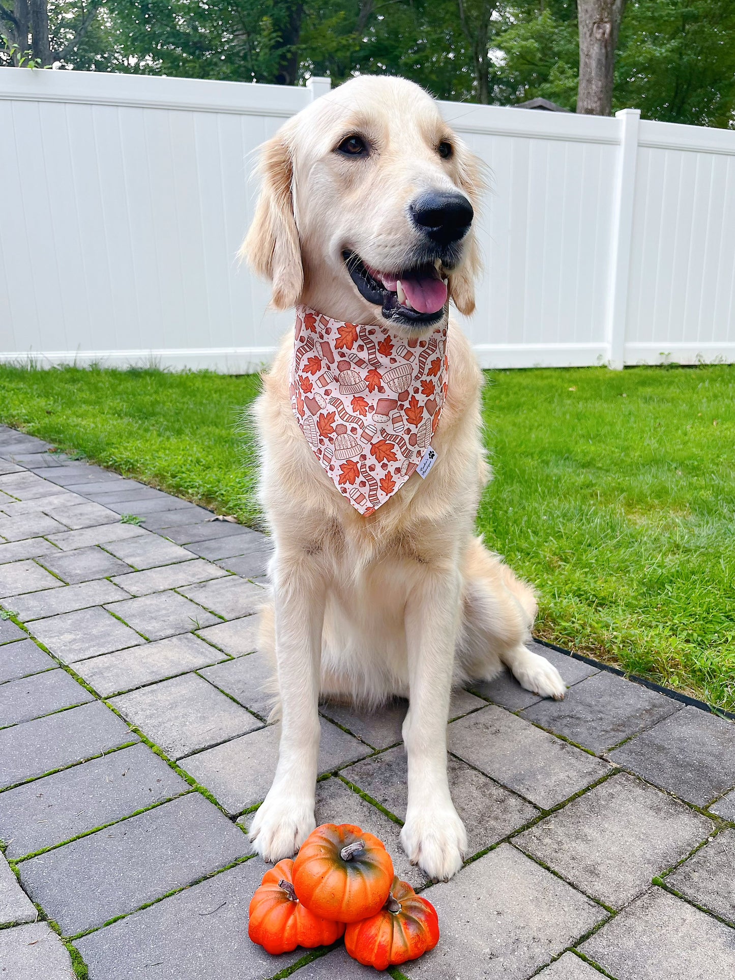 Cozy Fall Bandana