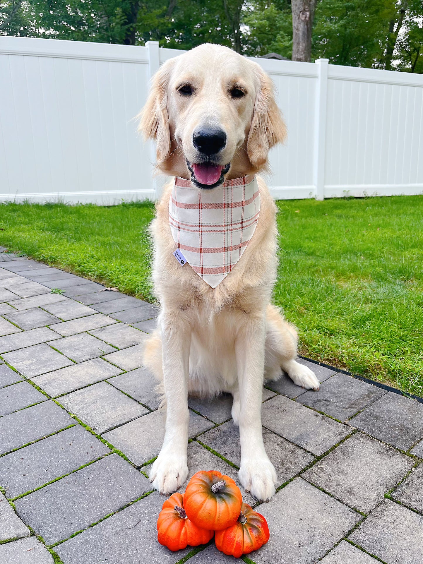 Cozy Fall Bandana