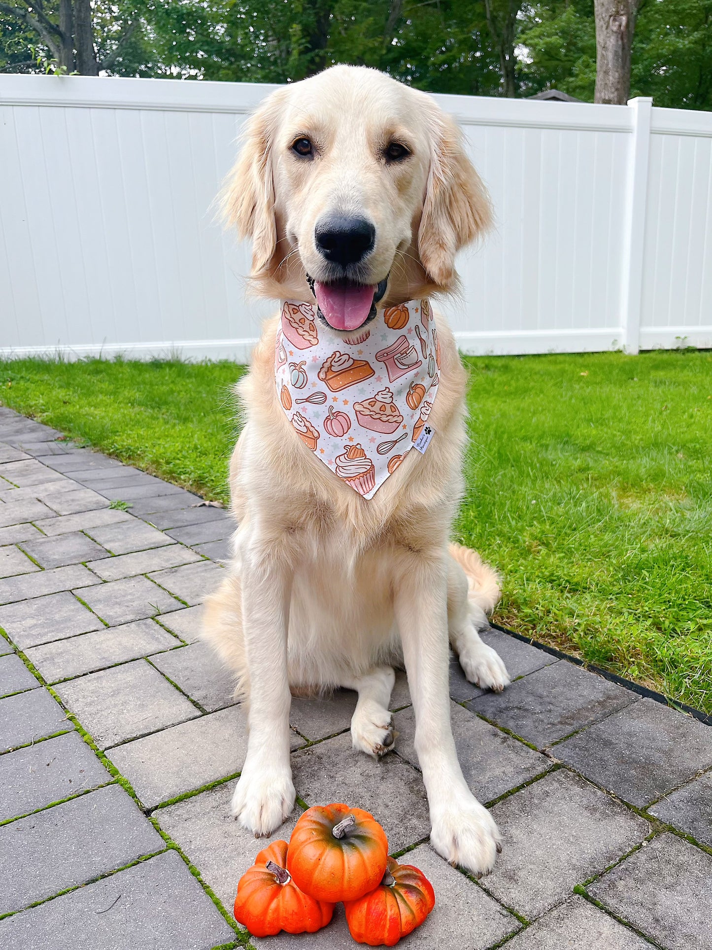 Pumpkin Baking Bandana