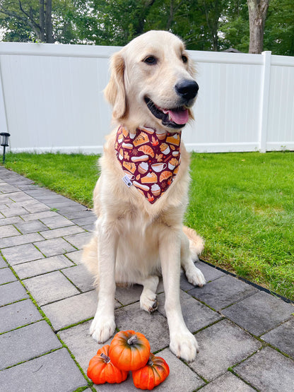 Pumpkin Baking Bandana