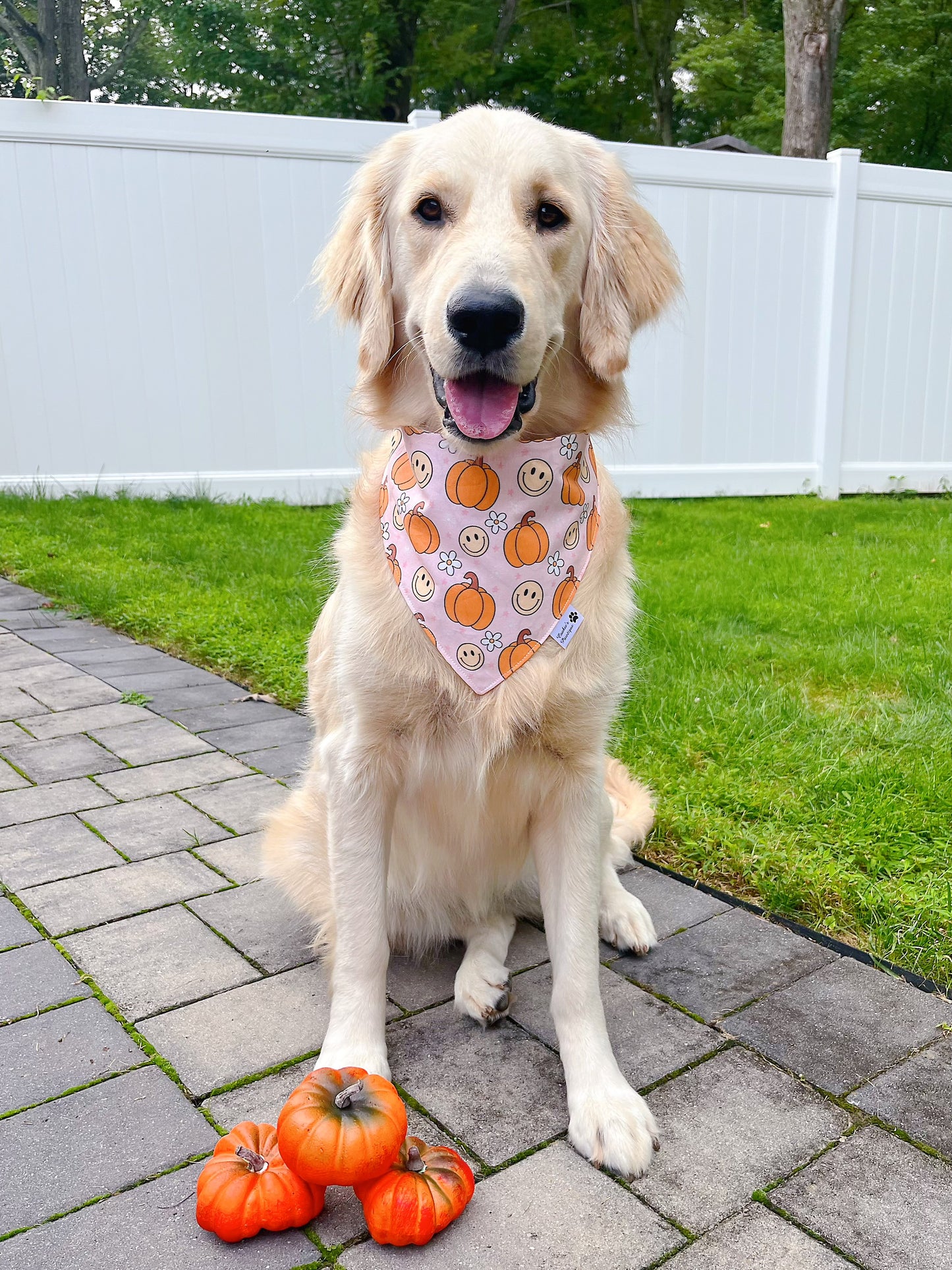 Fall Smiling Face And Ghost Bandana